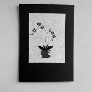Sumi Ink Orchid painting - mounted - 5 x 7 inch - Phalaenopsis