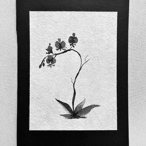 Sumi Ink Orchid painting - mounted - 5 x 7 inch - Phalaenopsis