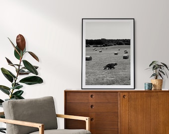 Irish Setter Fotodruck: Jagdhund Landschaftskunst