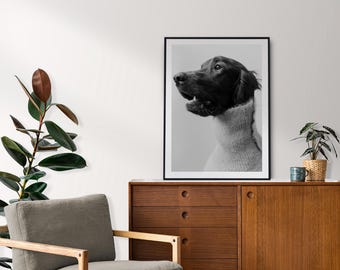 Irish Red Setter: Hund Fotografie, Haustier Wandkunst