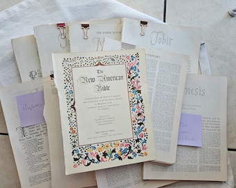 Books of the Bible by Categories