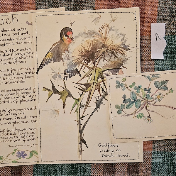 Edith Holden journal cards