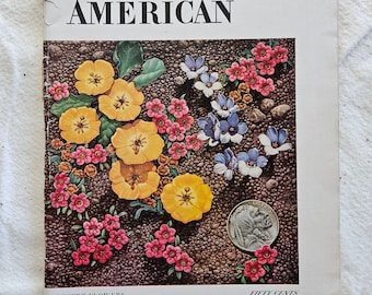 Scientific American, Desert Flowers cover, April 1955, science magazine, vintage magazine
