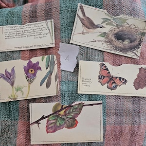 Edith Holden pockets