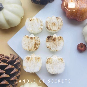 Pumpkin Spice Wax Melts, biologische sojawas smelt, Halloween Wax smelt, Fall Wax Melts, Autumn Home Decor, herfstgeuren