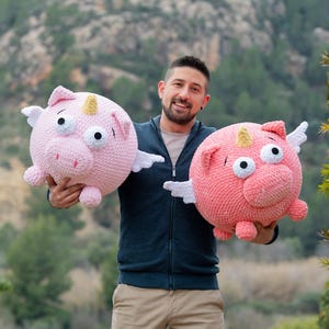PIGASUS, the piggycorn - crochet pattern - amigurumi pig unicron