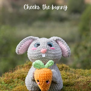 Puede incluir: Un conejito de crochet gris sosteniendo una zanahoria de crochet naranja. El conejito tiene mejillas rosadas y ojos azules. El texto "Cheeks. the bunny" est&aacute; por encima del conejito.