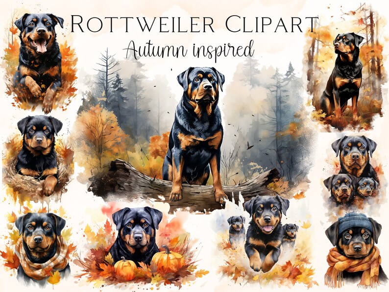 Hello Fall Scene Rottweiler Watercolor Rottweiler Clipart Autumn Inspired - Etsy