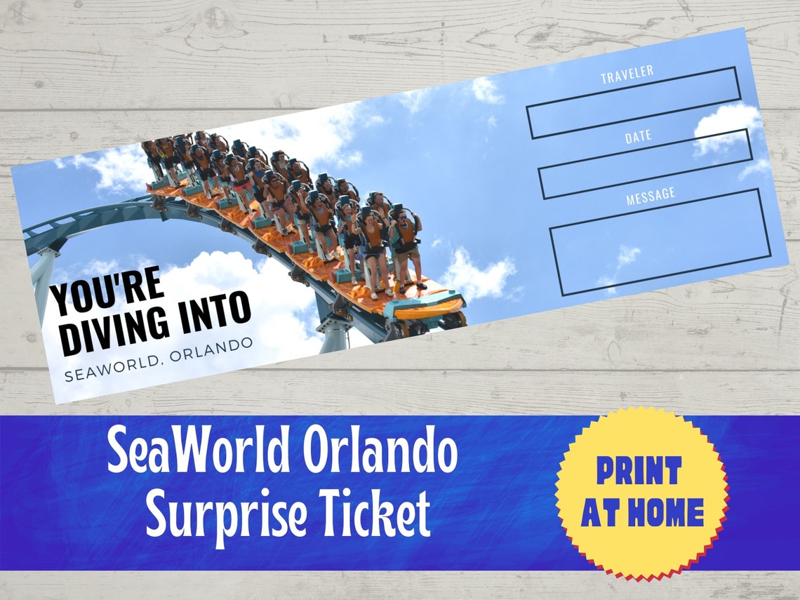 Printable Theme Park Ticket, Roller Coaster Capitol, Birthday Party ...