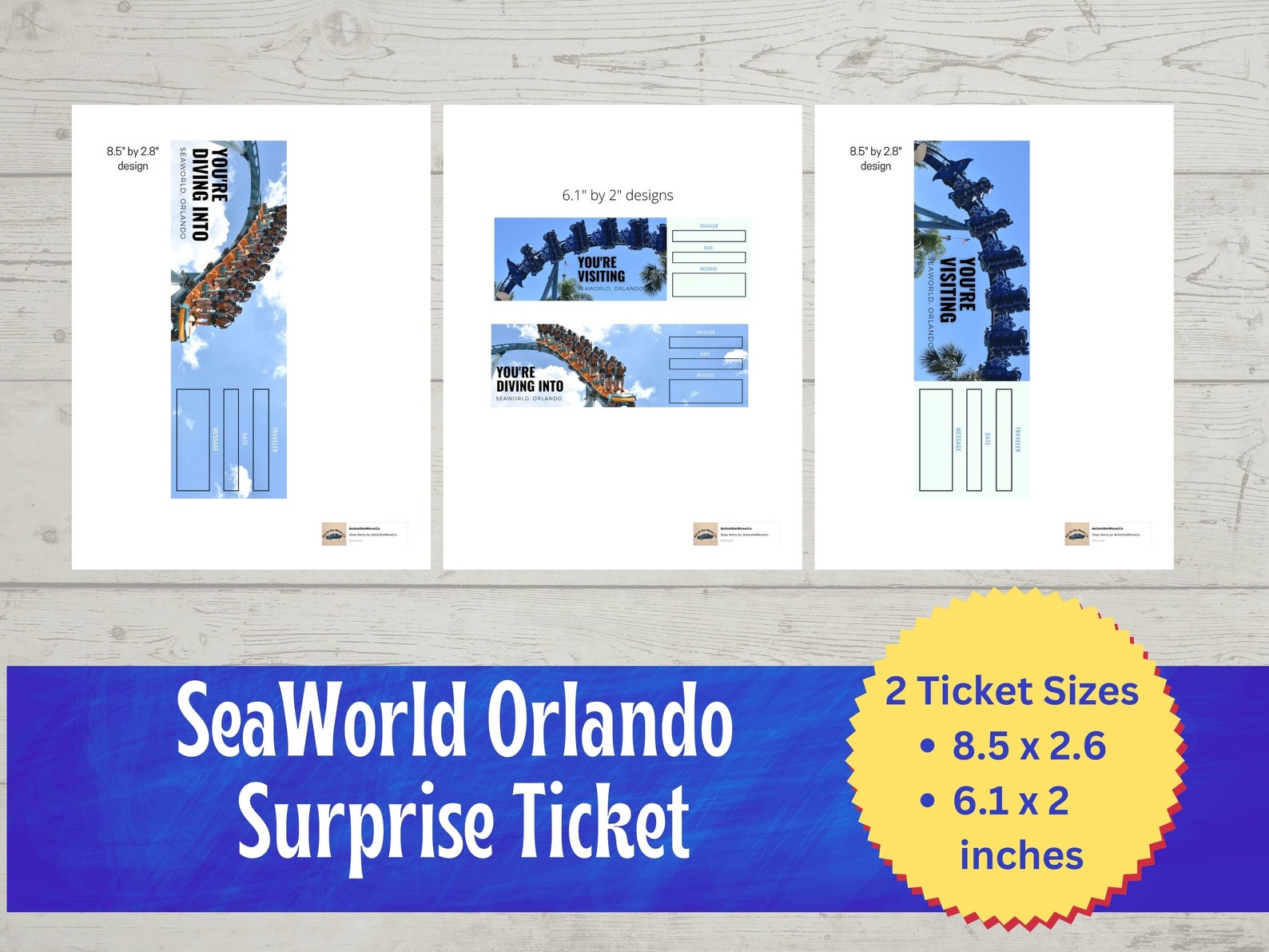 Printable Theme Park Ticket, Roller Coaster Capitol, Birthday Party ...