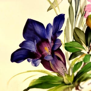 May include: A detailed painting of a deep blue gentian flower with a purple throat and yellow centre, surrounded by green leaves and stems. A white edelweiss flower is visible in the upper portion, and a pink flower petal appears on the right.
