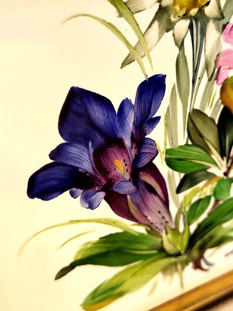 May include: A detailed painting of a deep blue gentian flower with a purple throat and yellow centre, surrounded by green leaves and stems. A white edelweiss flower is visible in the upper portion, and a pink flower petal appears on the right.