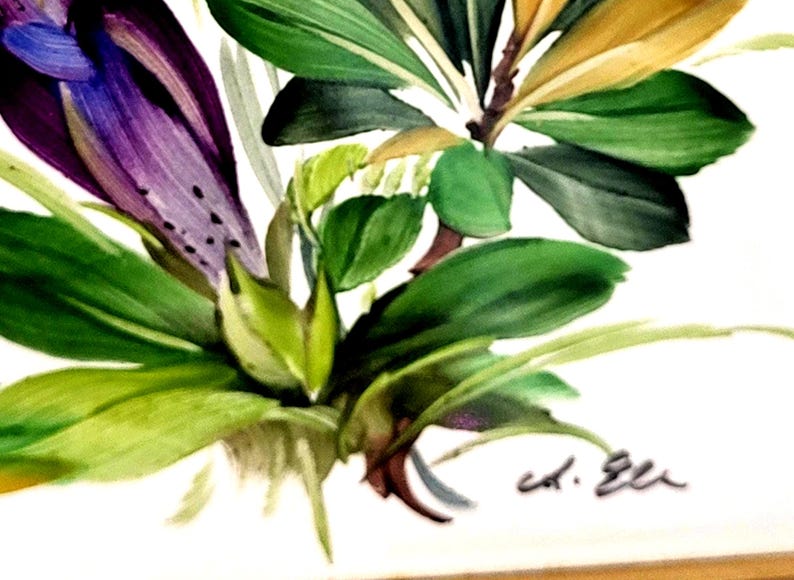 May include: A painting featuring a vibrant purple flower with dark spots, accompanied by lush green leaves and yellow-tipped foliage. The artwork displays a signature in the bottom right corner, rendered in a painterly style on a white background.
