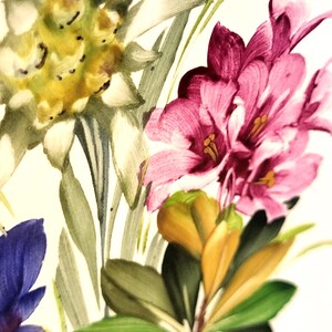 May include: A botanical illustration featuring a white edelweiss flower, a cluster of vibrant pink rhododendron blossoms with yellow stamens, and a deep blue flower, all set against a plain white background with green leaves.