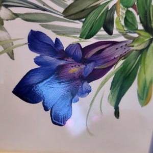 May include: A hand-painted illustration on a white surface featuring a vibrant blue and purple bell-shaped flower with visible brushstrokes. The flower is surrounded by long, pointed green leaves and stems, creating a detailed botanical composition.