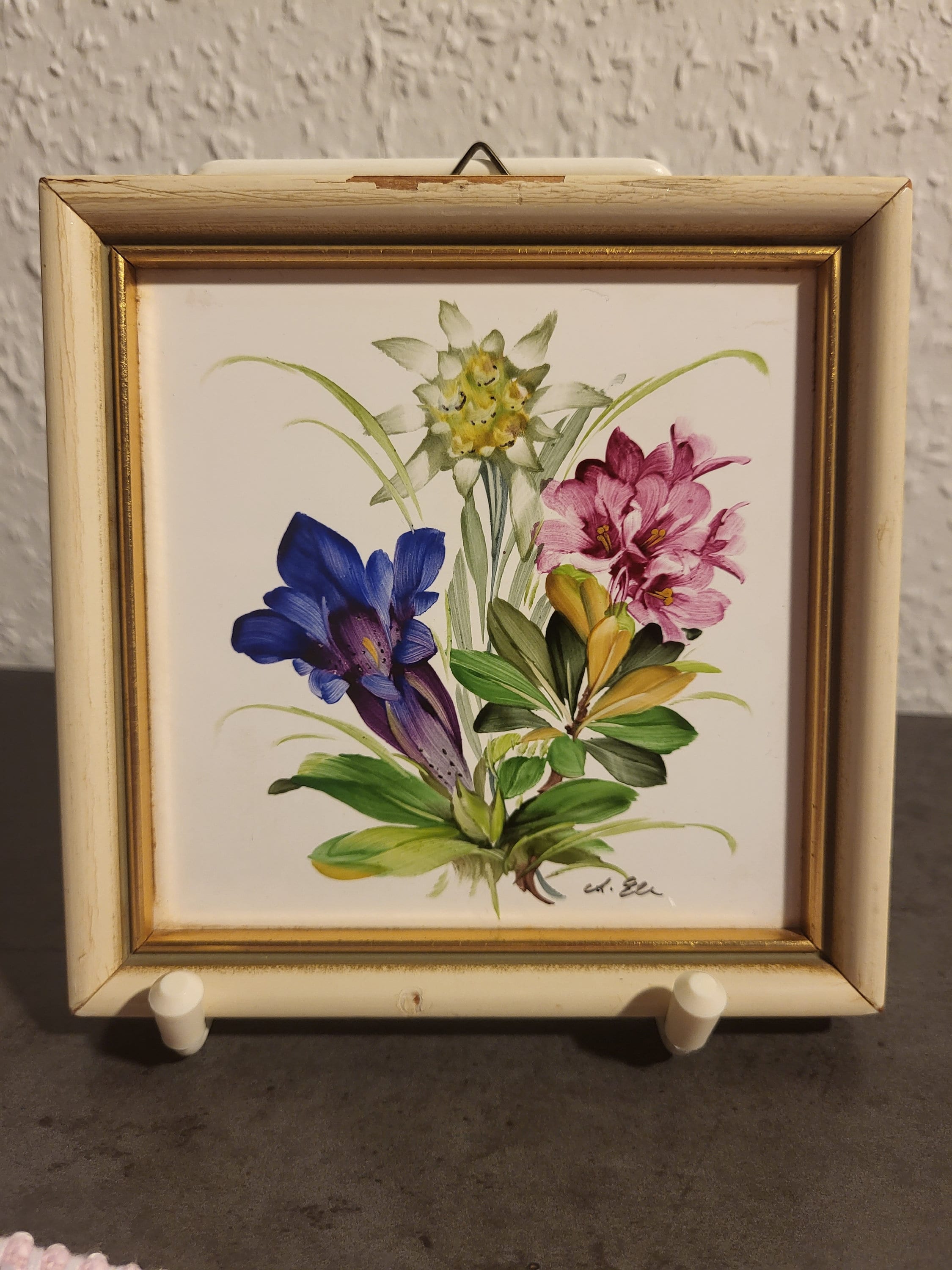 Herbier de Fleurs Séchées / Herbier encadré / Hortensias / Herbarium