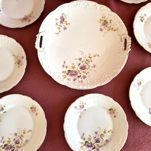 Antique Large Porcelain Dish and Nine Dessert Plates, decorated Violets.  Carl Tielsch&Co Germany 1875-1900