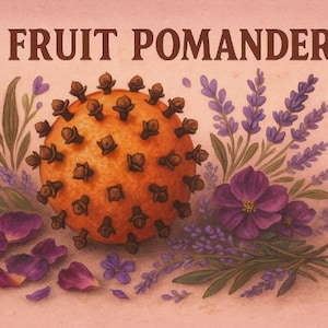 Pode incluir: Ilustração de um Love Fruit Pomander, uma laranja cravejada de cravos, rodeada por flores roxas, raminhos de lavanda e pétalas. O texto "LOVE FRUIT POMANDER" está no topo da imagem, em fonte marrom, sobre um fundo rosa.