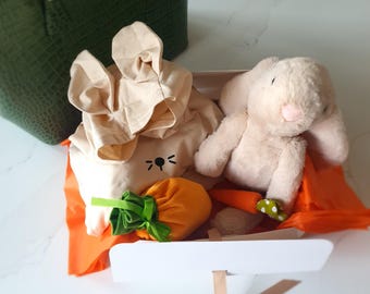 Spring Hare Gift Set: Bunny Hoodie, Plush Rabbit & Carrot Pouch (Sizes 3-5)