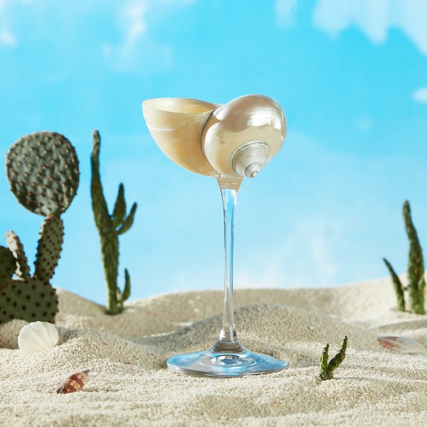 Handmade Natural Conch Shell Wine Glass,Beach Wedding Wine Glass,Seashell Glasse,Goblet Cocktail Glass Cup,Bar Glass,Hawaiian Party Glass