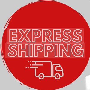 Express cargo,fast shipping ups