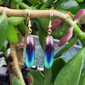 Boucles d&#39;oreilles plumes dorées [style a]