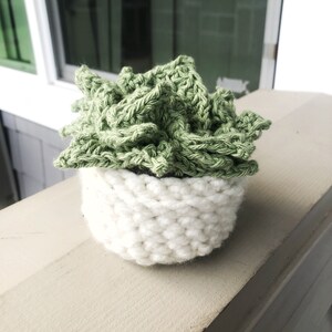 crochet succulent coaster set