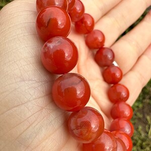 11.4mm Natural Sichuan Red Nanhong Agate Bead Bracelet 川料南红手串 image 6