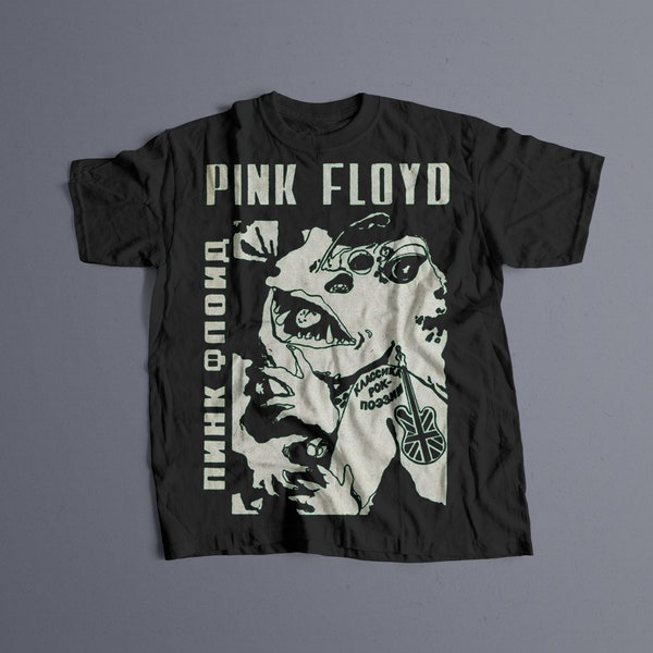 Pink Floyd T shirt, Floyd Graphic Tee, Pink Merch, Rap Shirt, dark side of the moon, Pink Floyd unisex gift, Concert T-Shirt, Vintage