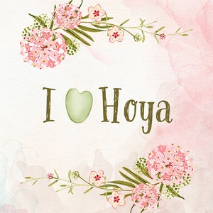 Hoya Liebe Druck Digital Download Hoya Sammler Geschenk Botanische Poster Hoya Dekor Rosa Sanfte Farben Blumen Hoya Kerrii Herz Sofort Download
