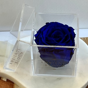 Oud Scented Preserved Rose: Forever Flower in Acrylic Box