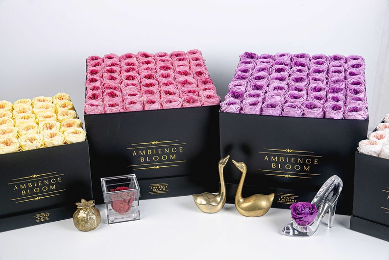 Preserved Two Toned Garden Roses: Bergamot Oud Scented Floral ...