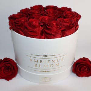 May include: A white round box with the text "Ambience Bloom" in gold lettering. The box is filled with a dozen red roses.
