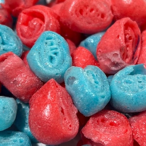 Freeze dried fruit rolls