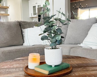 Faux Eucalyptus Plant