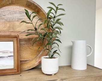 Faux Small Olive Plant 16" Tall