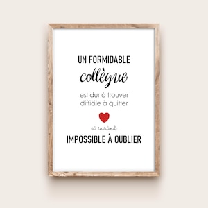 Collègue formidable - cadre photo collègue homme, cadeau travail, départ retraite, secret santa anniversaire collègue, affiche personnalisée