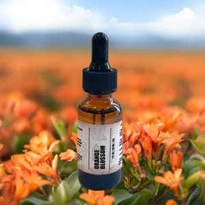 Orange Blossom Fragrance Oil | Sweet Fresh Citrus Floral Scent