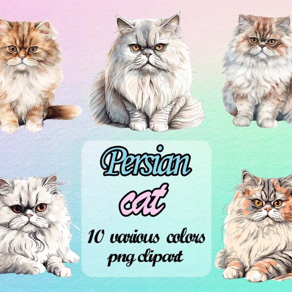 10 Persian cat clipart l Watercolor cat clipart bundle l Kitten clipart l Persian kitten l Card making l Persian cat PNG l Cat lovers