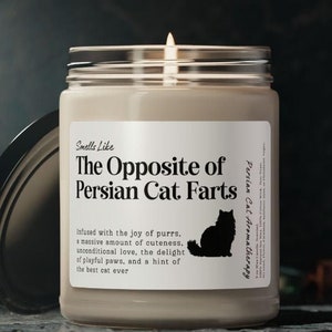 Persian Cat Gifts Funny Canlde, Customized Persian Cat Candle, Gift for Persian Cat Owner, Gift for Persian Cat Mom, Persian Cat Dad, Lover