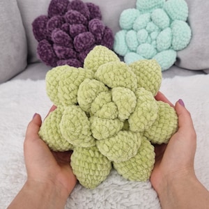May include: Three crocheted succulent pillows in shades of green, purple, and light green. The pillows are made of soft yarn and have a realistic succulent appearance.