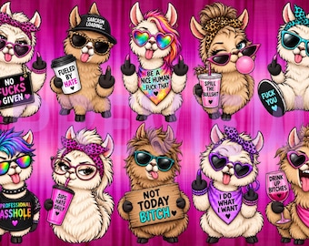 Funny Llamas Images