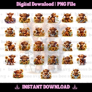 27 PNG Bilder Highland Kuh Sonnenblumen Clipart transparenten Hintergrund kommerzielle Nutzung