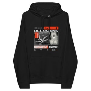 animus unisex eco raglan hoodie