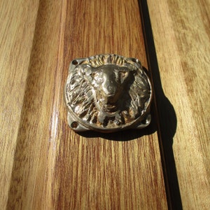 Door Mountable Brass Sun Lion Plaque