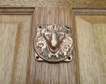 Placa de puerta antigua LEÓN DE BRONCE