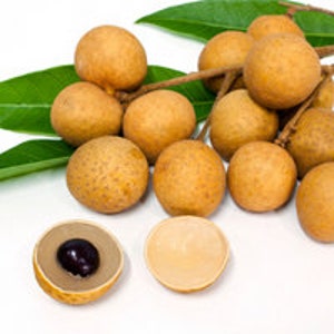 Indulge in Exotic Bliss: Thai Organic Dried Longan Delivered to Your Doorstep!