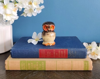 May include: A small, ceramic owl figurine with brown, orange, and cream coloring. The owl is perched on a blue book, with a stack of books and white flowers in the background. The owl has large, orange eyes.