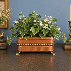 May include: A rectangular copper planter with a beaded rim and vertical fluted detailing along the base. The planter is supported by four ornate claw-style feet and contains a lush green ivy plant with small white flowers.