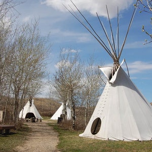 TIPI Fabric  mixed cotton  & polyester 450 gsm water repellent  3m - 10m (10-33 feet)
